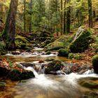 Herbst im Schwarzwald