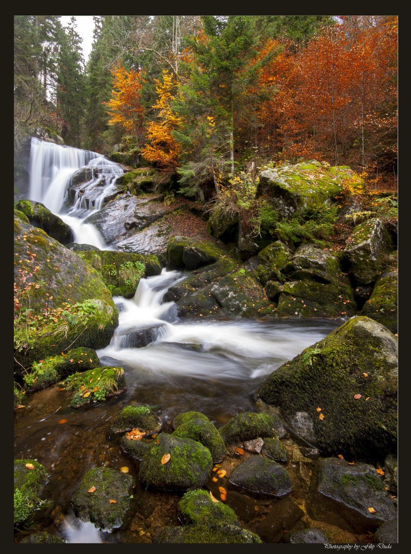 Herbst im Schwarzwald