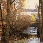 Herbst im Schwarzwald