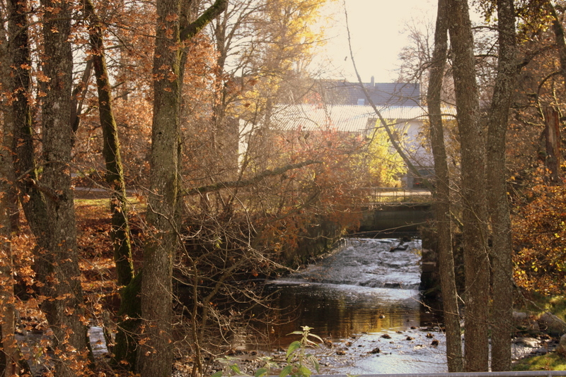 Herbst im Schwarzwald