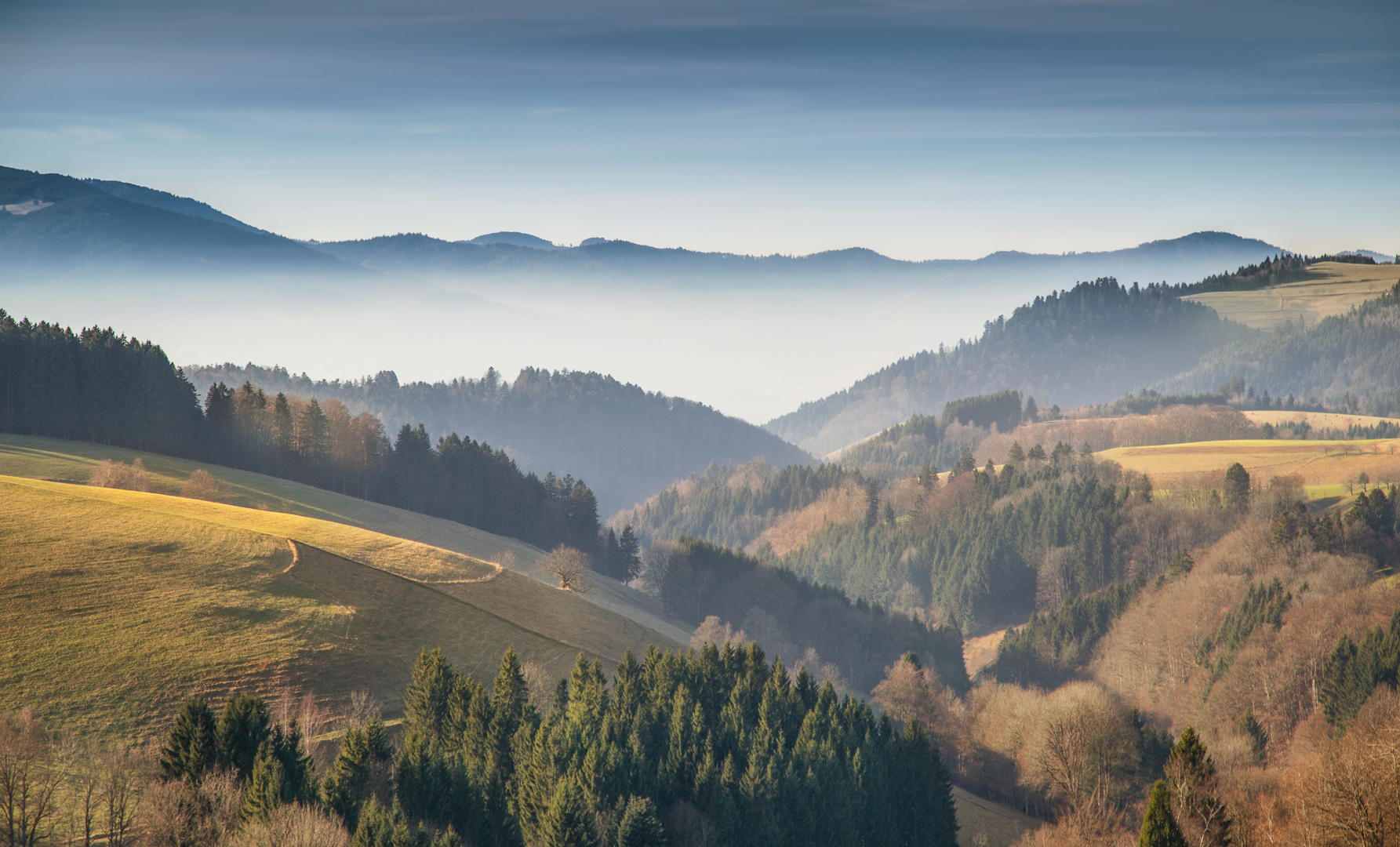 Herbst im Schwarzwald.