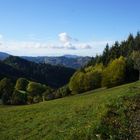 Herbst im Schwarzwald 2