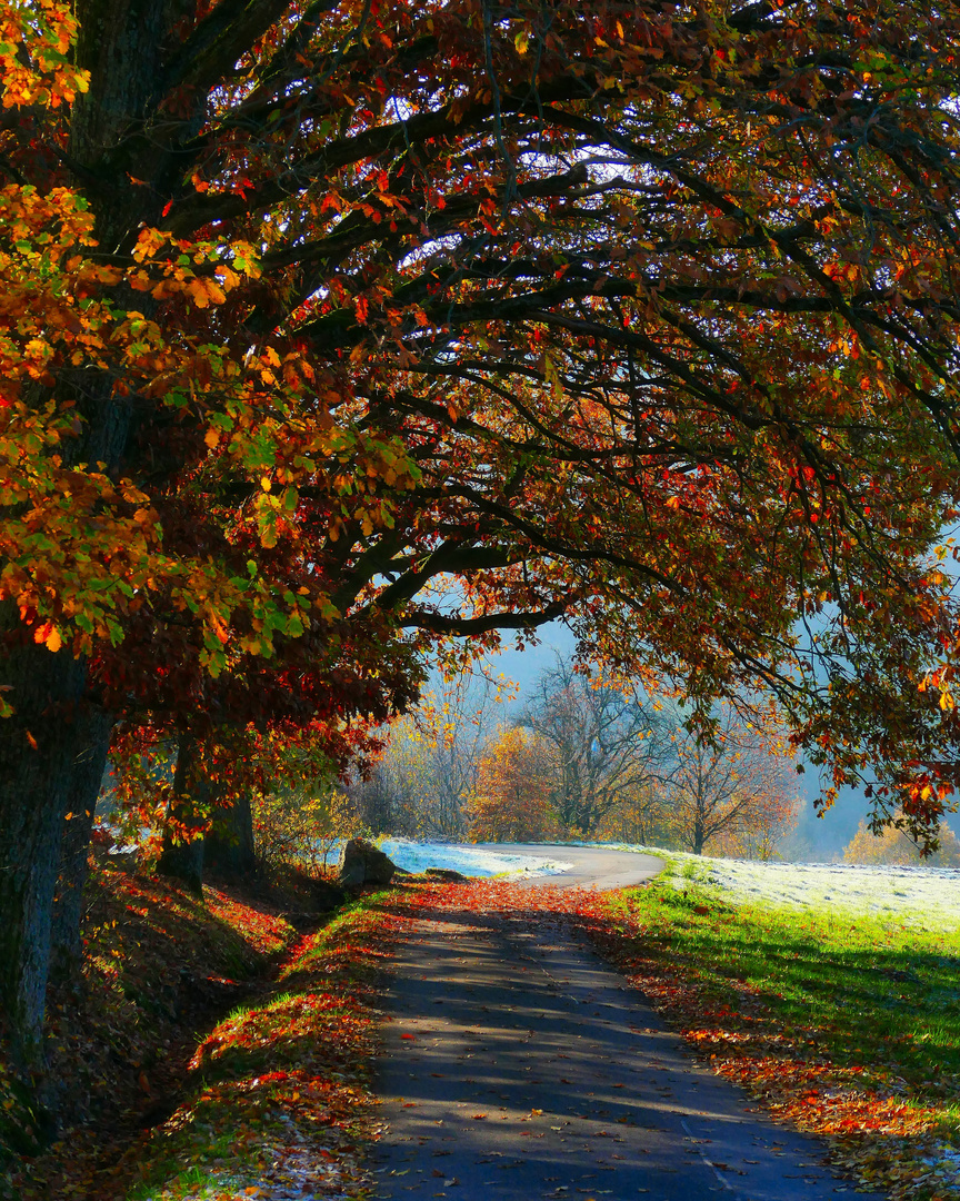 Herbst im Schwarzwald 2