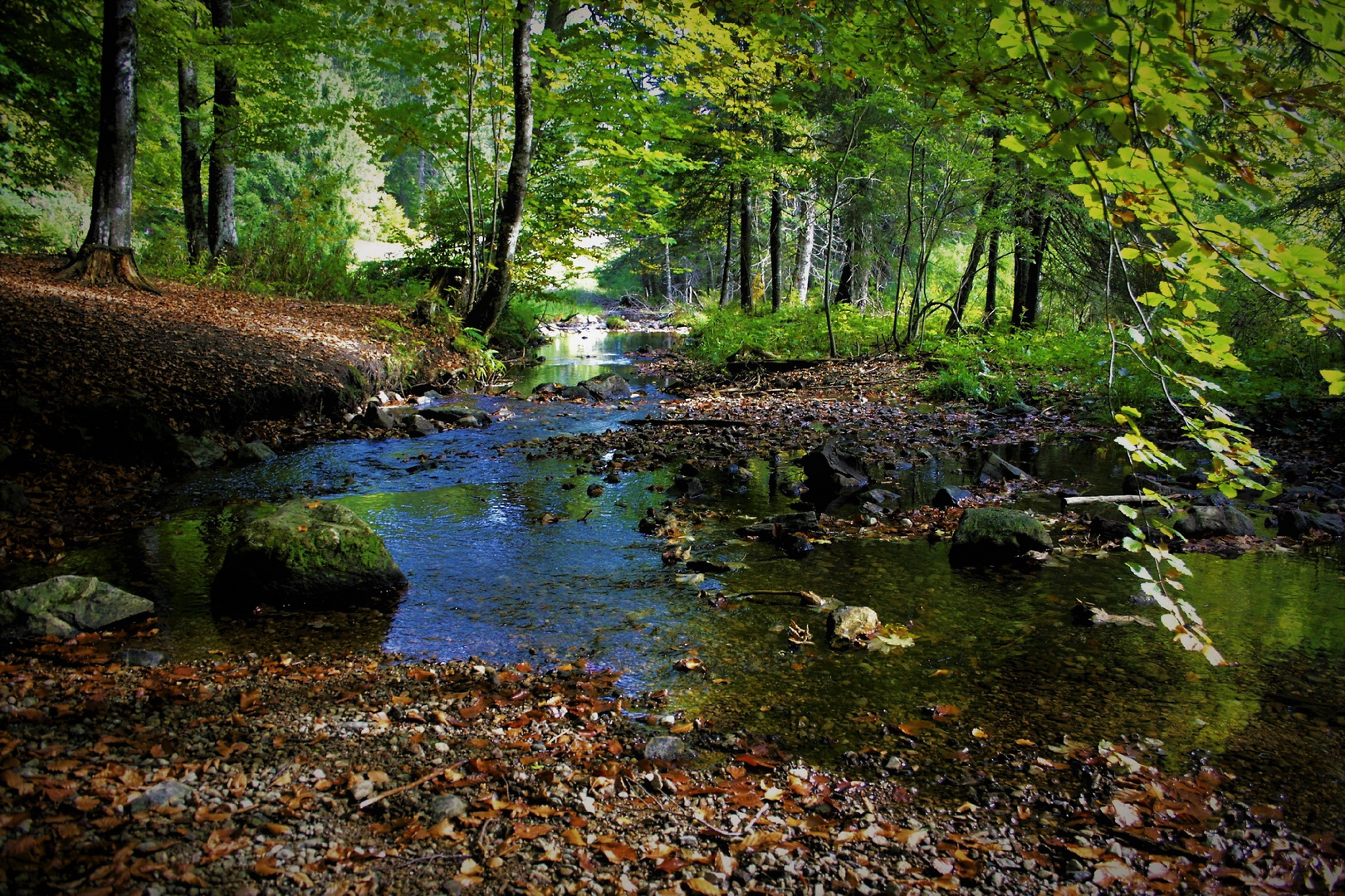 herbst im schwarzwald