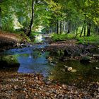 herbst im schwarzwald