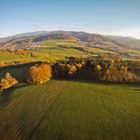 Herbst im Schwarzwald