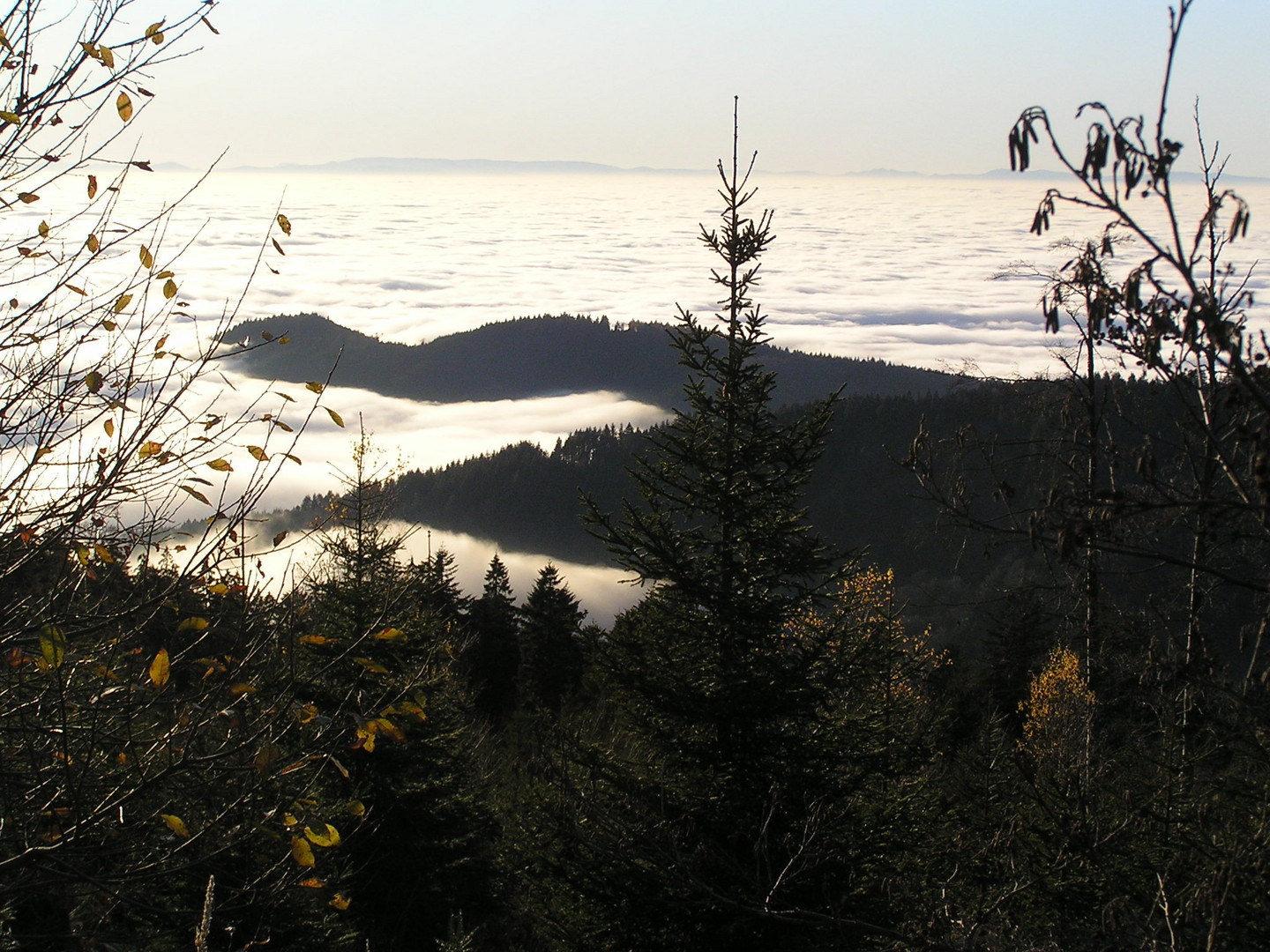 Herbst im Schwarzwald