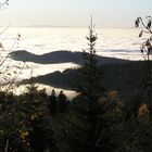 Herbst im Schwarzwald