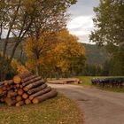 Herbst im Schwarzwald