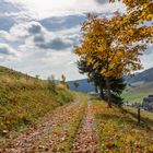 Herbst im Schwarzwald