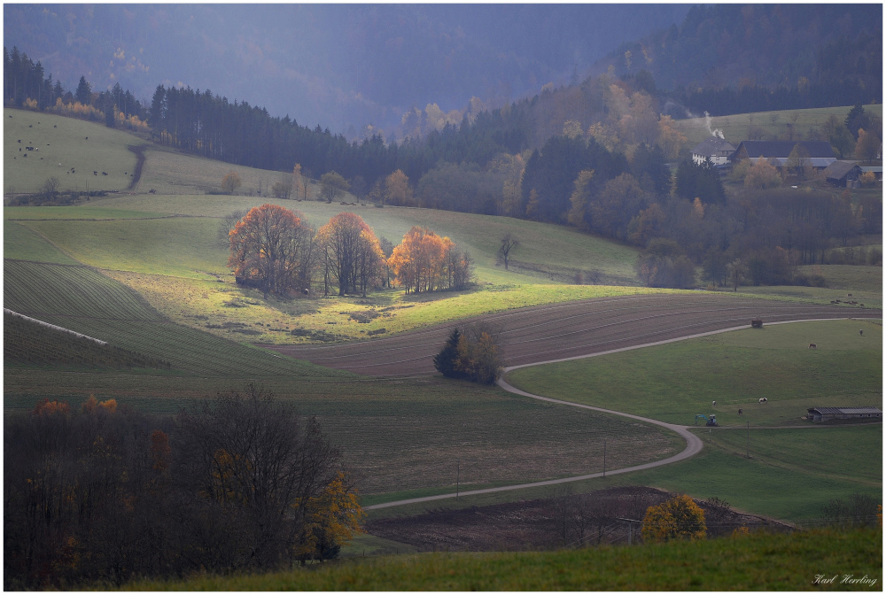 Herbst im Schwarzwald