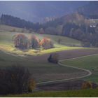 Herbst im Schwarzwald