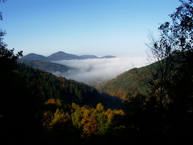 Herbst im Schwarzwald