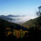 Herbst im Schwarzwald