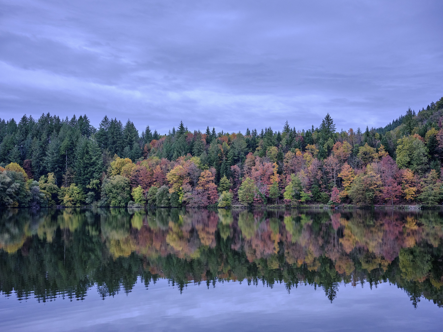 Herbst im Schwarzwald