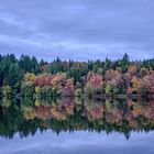 Herbst im Schwarzwald