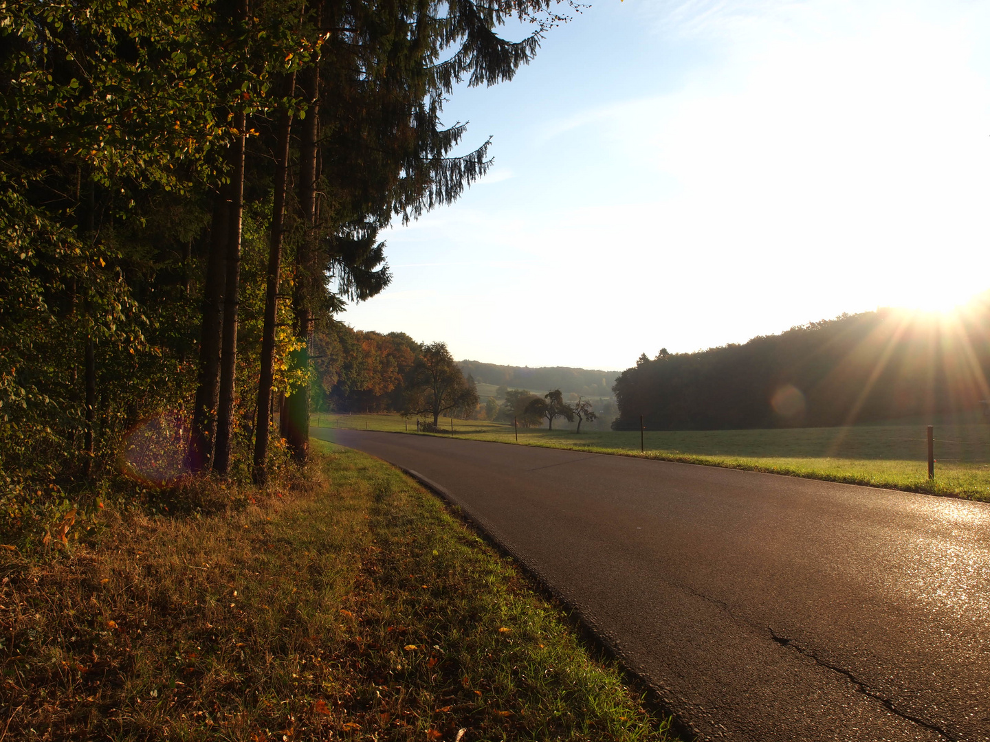 Herbst im Schwarzwald