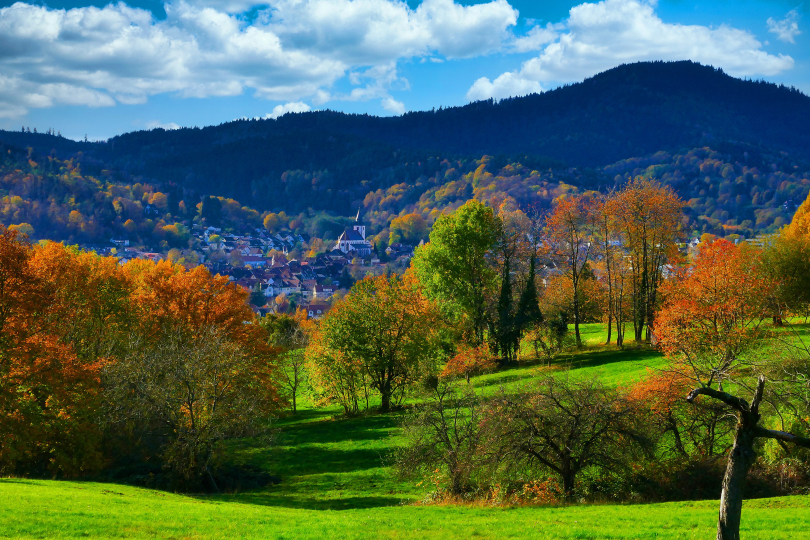 Herbst im Schwarzwald 