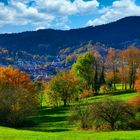 Herbst im Schwarzwald 