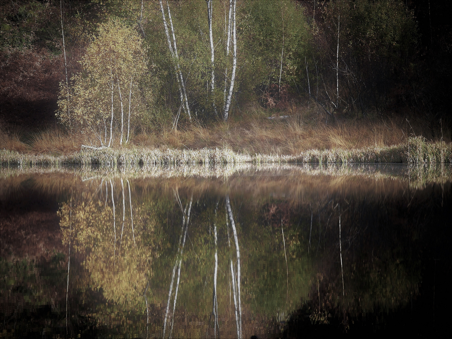 Herbst im Schwarzwald