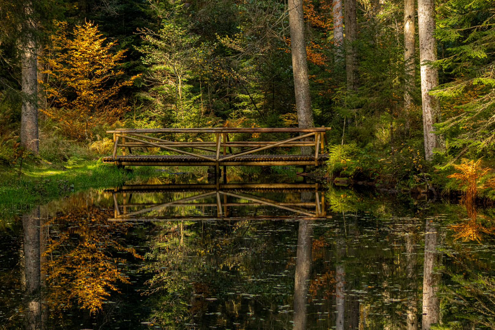 Herbst im Schwarzwald