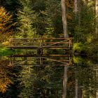 Herbst im Schwarzwald