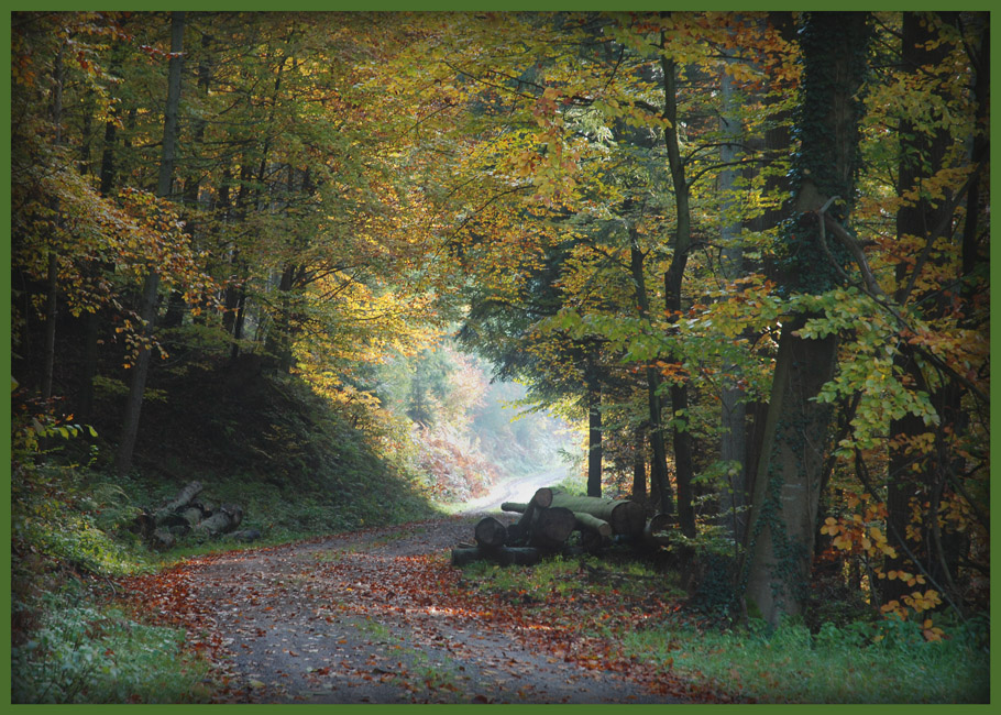 Herbst im Schwarzwald