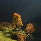 Herbst im Schwarzwald