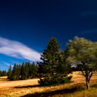 Herbst im Schwarzwald