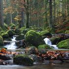 Herbst im Schwarzwald