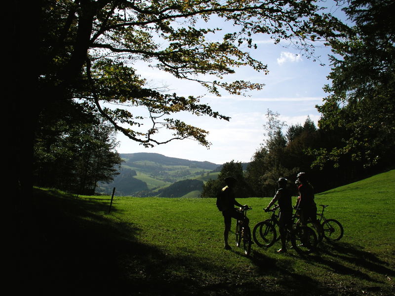 Herbst im Schwarzwald