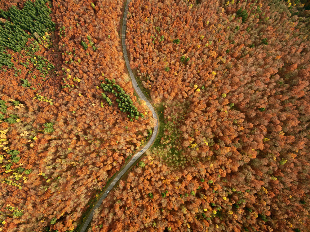 Herbst im Schwarzwald