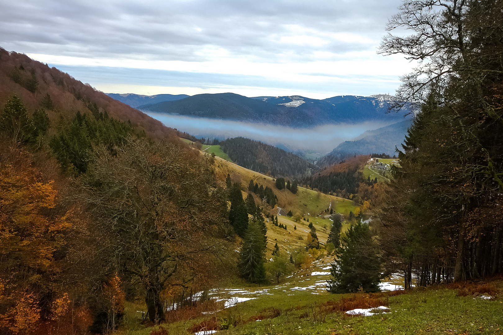 Herbst im Schwarzwald Foto & Bild | natur, landschaft ...