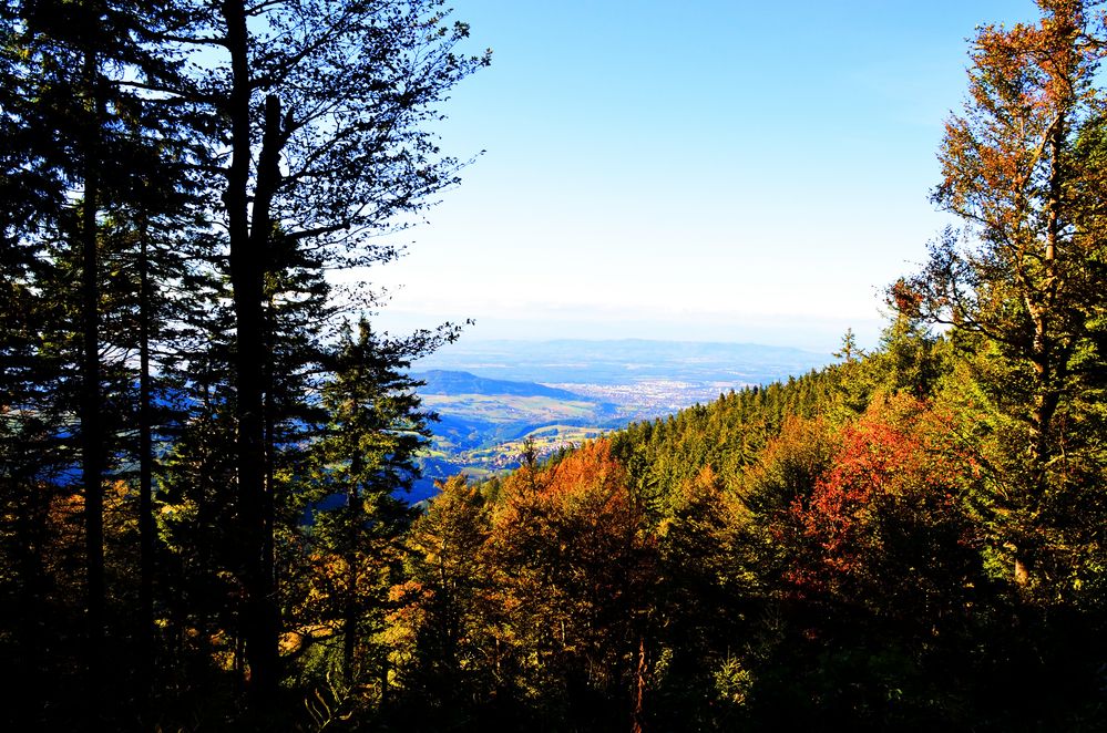 Herbst im Schwarzwald