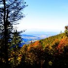 Herbst im Schwarzwald