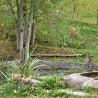 Herbst im Schwarzwald