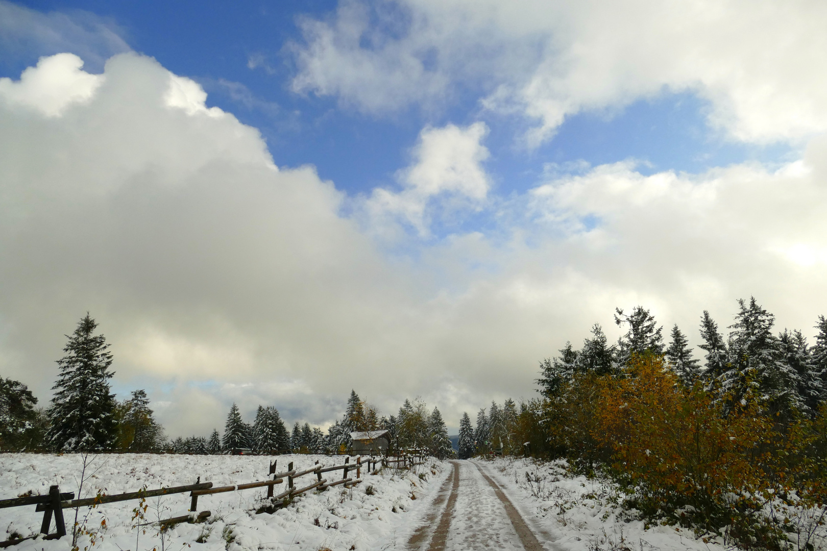 °°°° Herbst im Schwarzwald °°°°