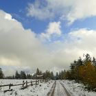 °°°° Herbst im Schwarzwald °°°°