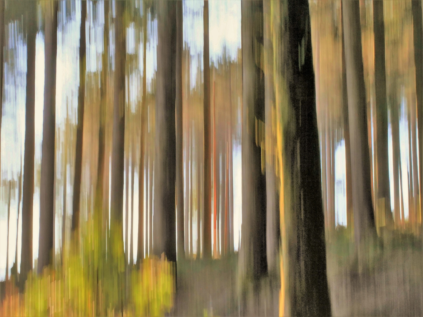 Herbst im Schwarzwald