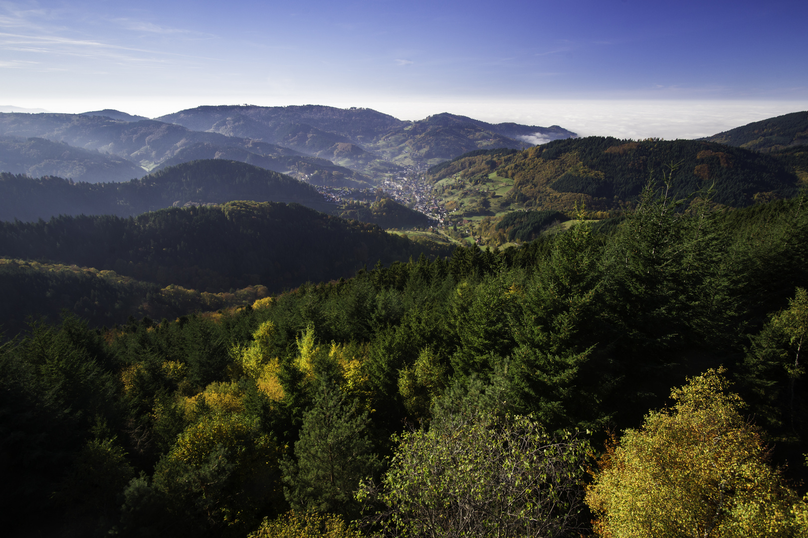 Herbst im Schwarzwald