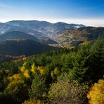 Herbst im Schwarzwald