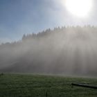 Herbst im Schwarzwald, Muhlenbach, september 2010 - 001