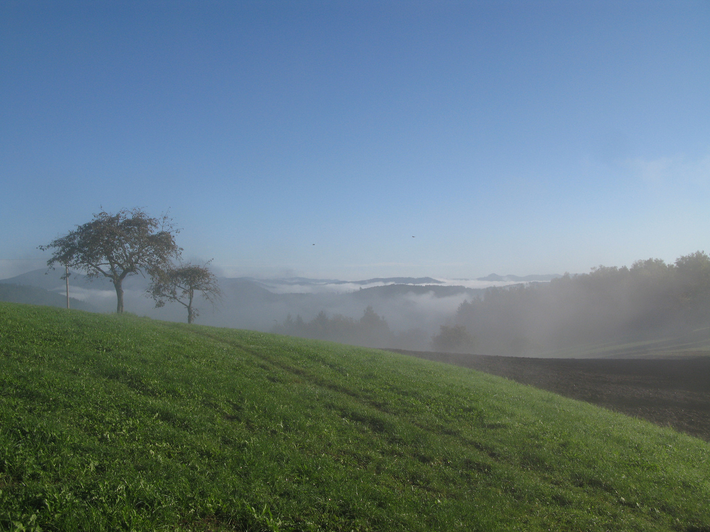 Herbst im Schwarzwald, Muhlenbach, september 2010 - 002