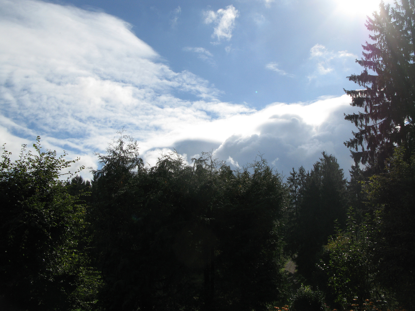 Herbst im Schwarzwald, Muhlenbach, september 2010 - 003