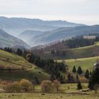 Herbst im Schwarzwald (Stohren)