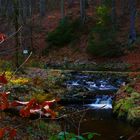 Herbst im Schwarzwassertal