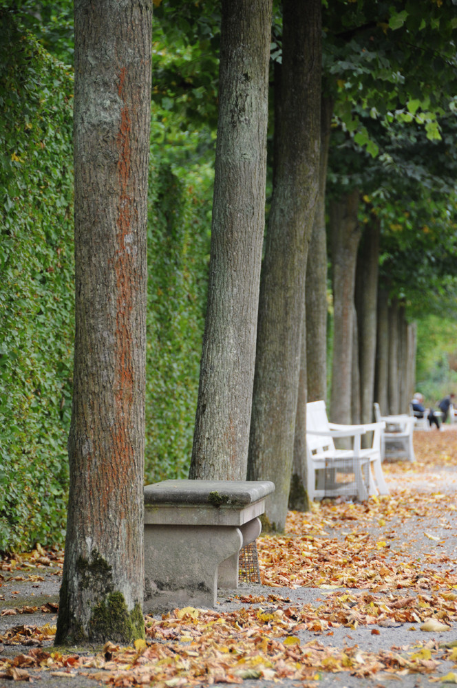 Herbst im Schwetzinger Schlossgarten