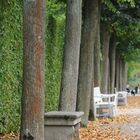 Herbst im Schwetzinger Schlossgarten