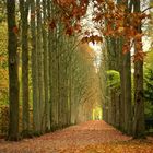 Herbst im Schwetzinger Schlosspark 