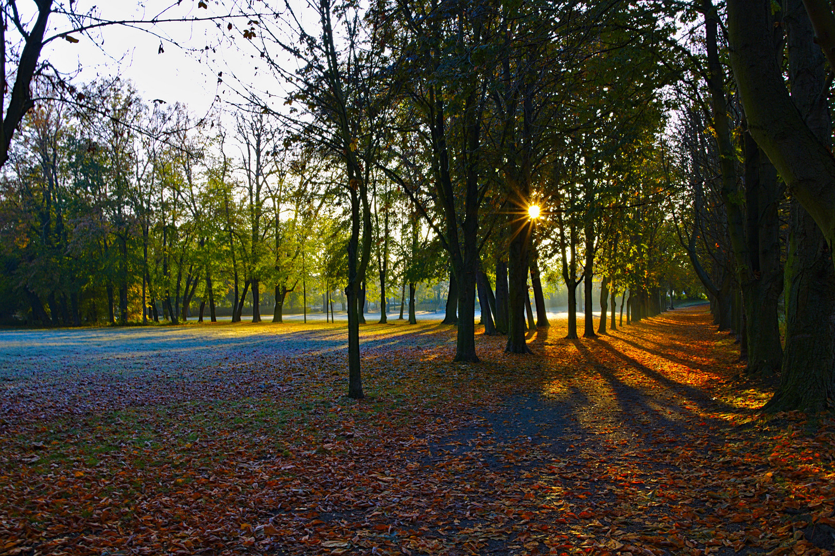 Herbst im Seckendorff Park in Meuselwitz Thüringen 